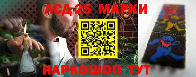 гашик Сланцы