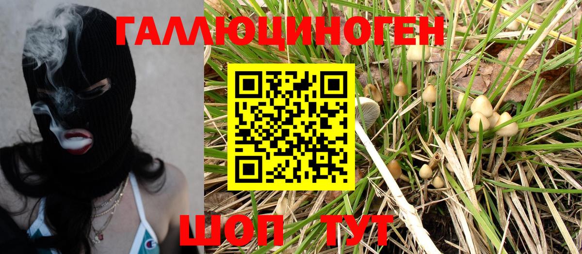 Псилоцибиновые грибы MAGIC MUSHROOMS Отрадное